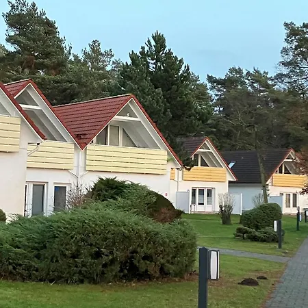 Hinter Den Duenen D77 * 프레로